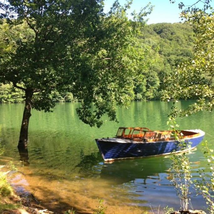Lake House I // Alauzet Ecolodge + Nature Spa Castelnau-de-Mandailles Экстерьер фото
